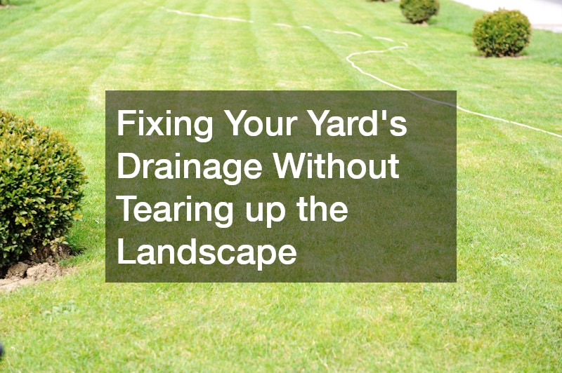 Fixing Your Yard’s Drainage Without Tearing up the Landscape