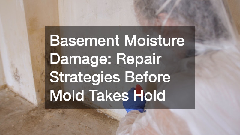 Basement Moisture Damage: Repair Strategies Before Mold Takes Hold